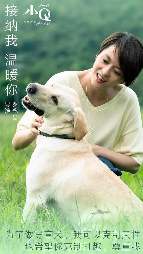 购买温彻斯特大学毕业证